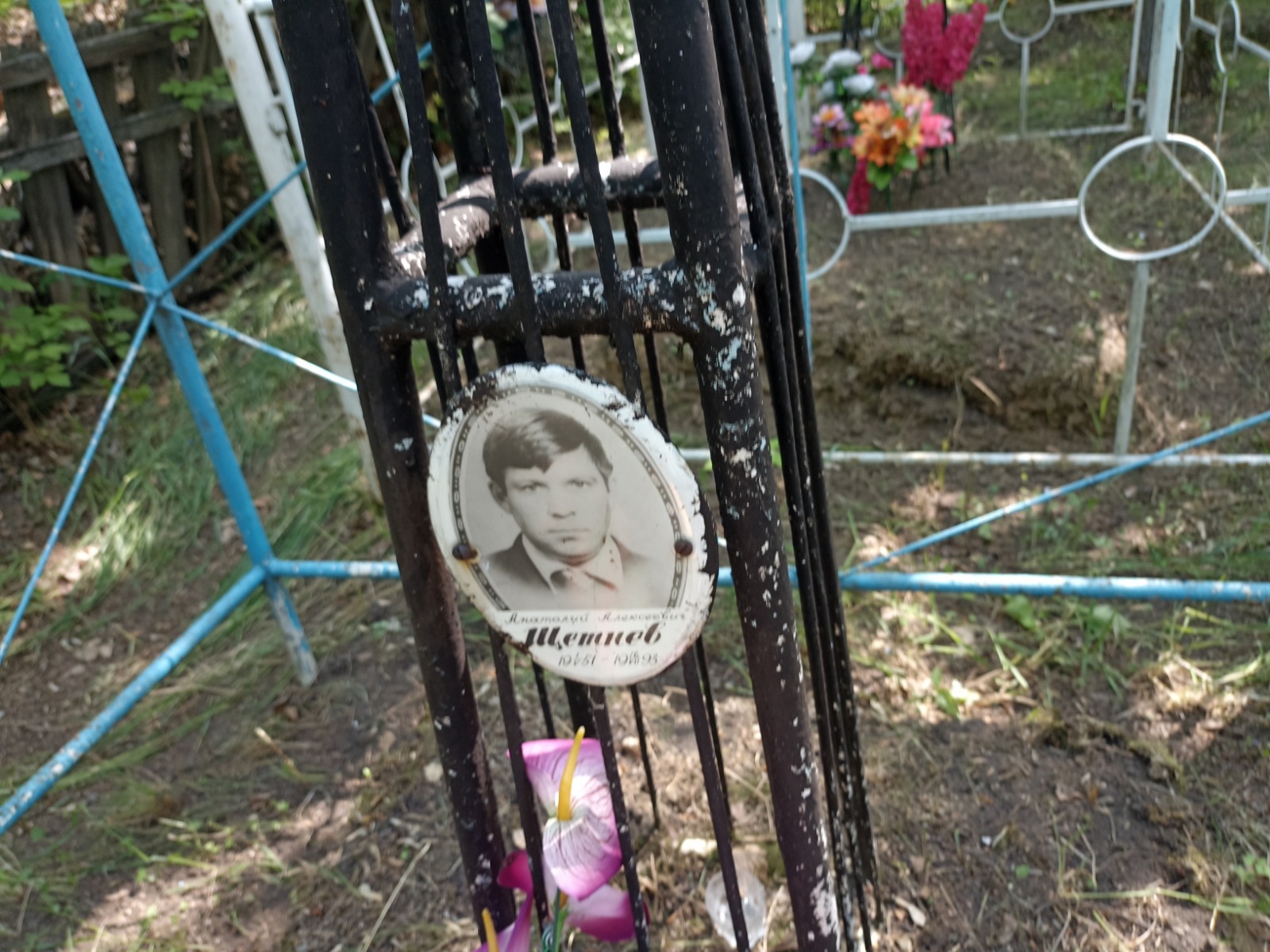 Щетнев Анатолий Алексеевич