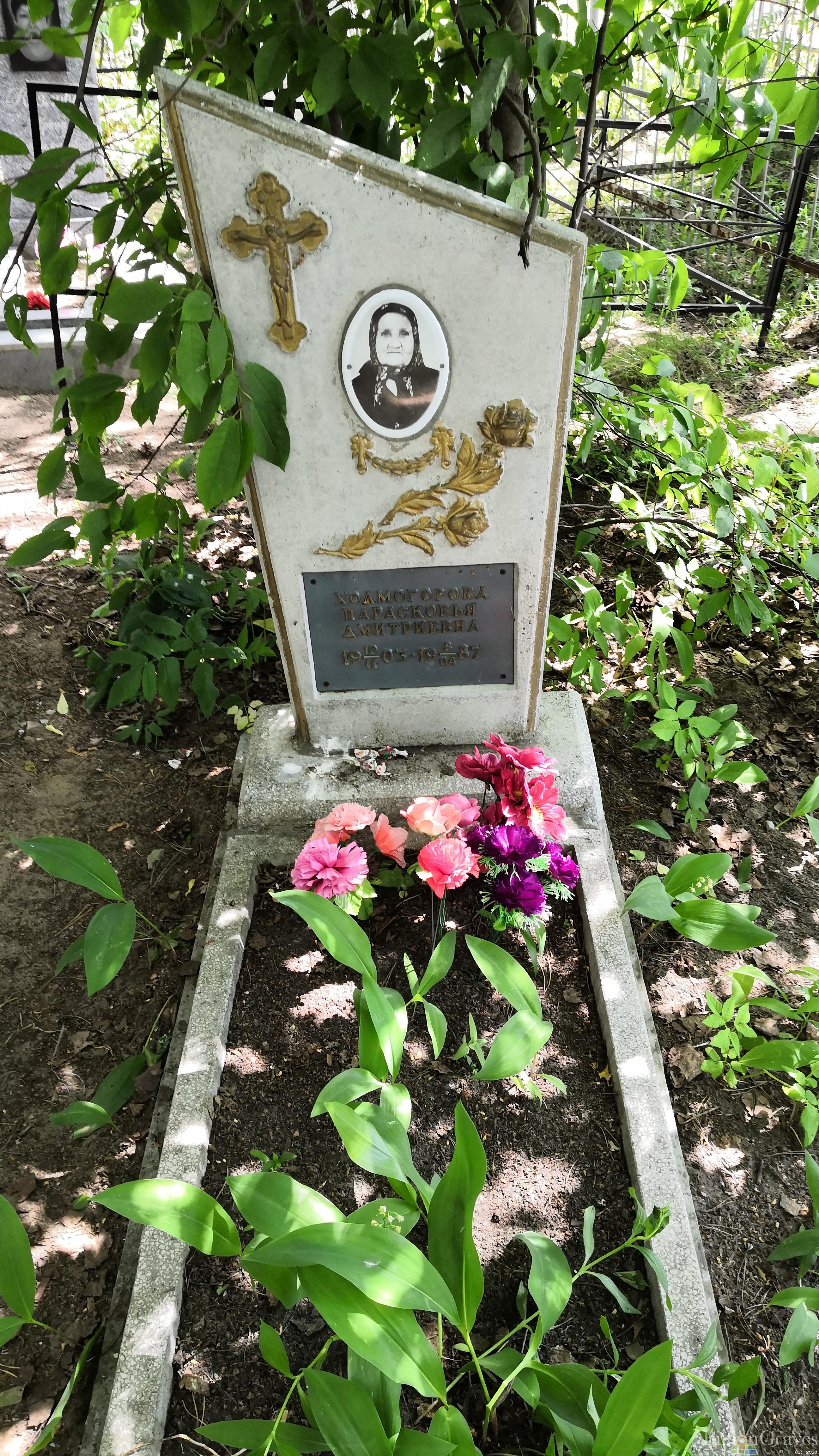 Холмогорова Парасковья Дмитриевна