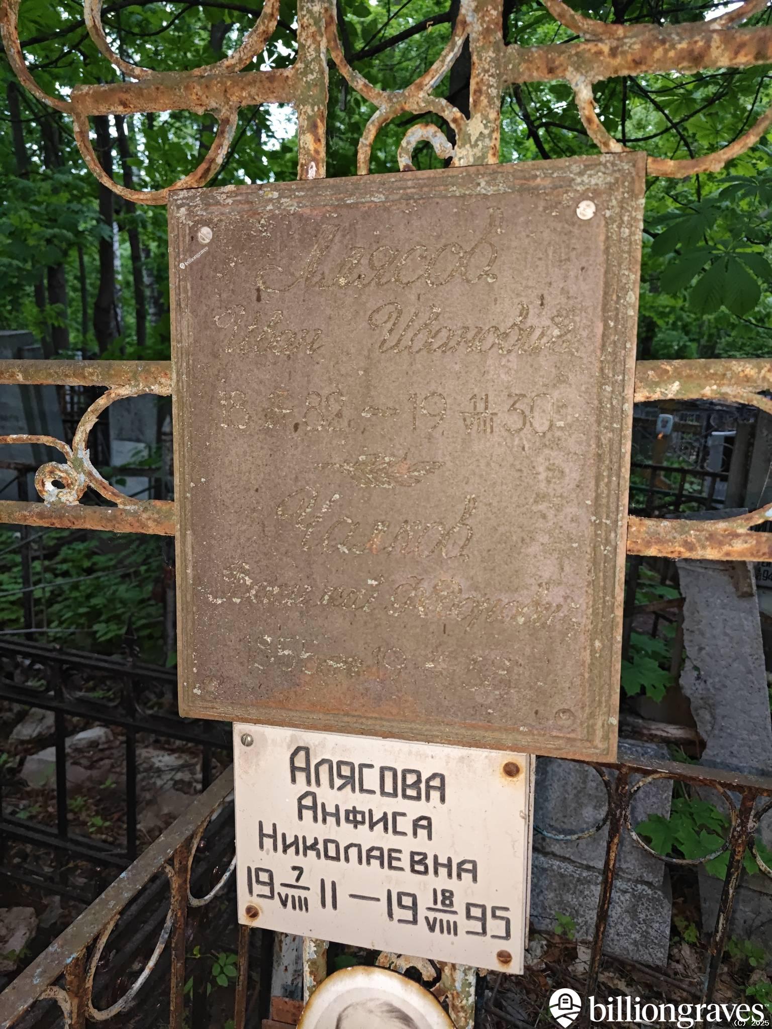 Алясова Анфиса Николаевна