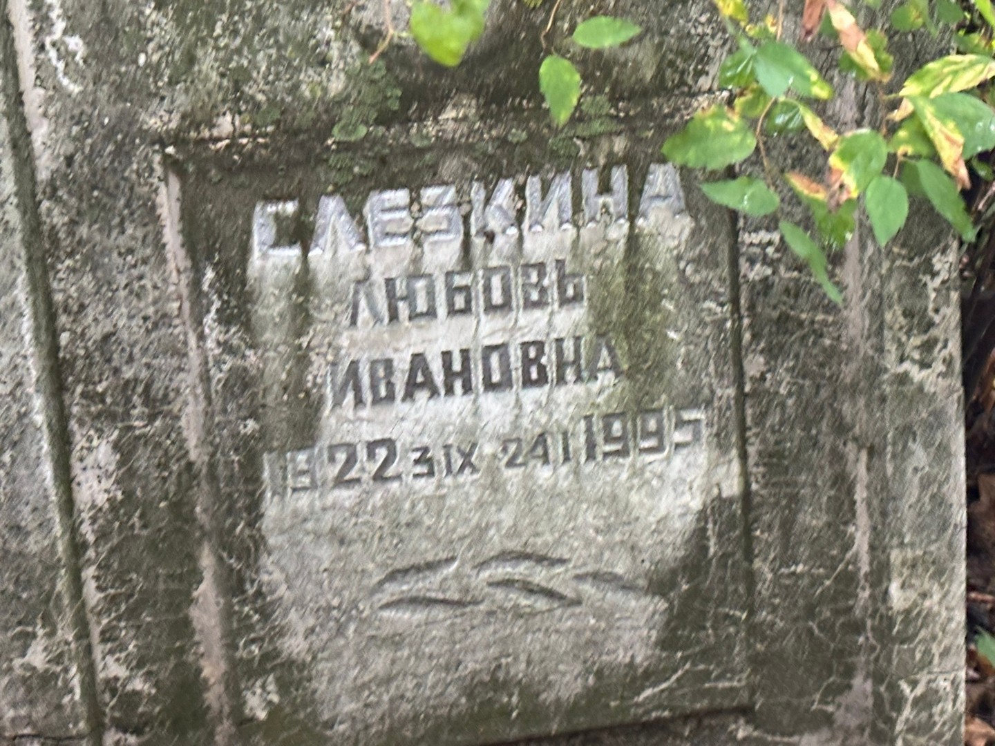 Слезкина