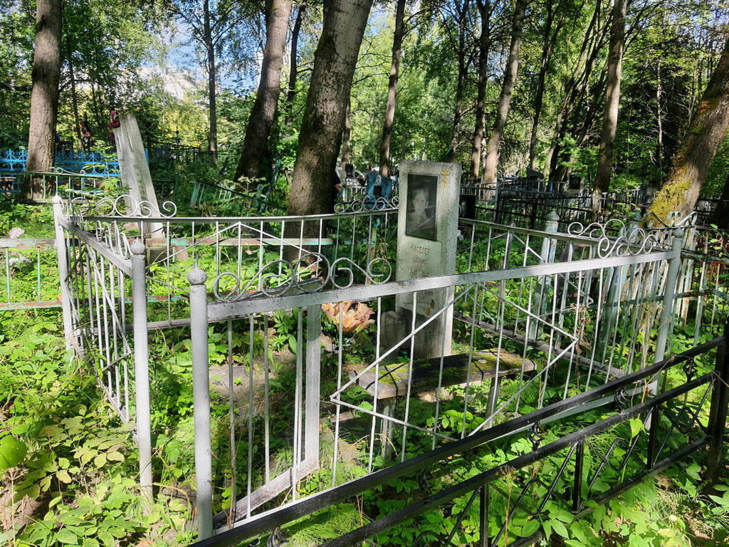Киселев Денис