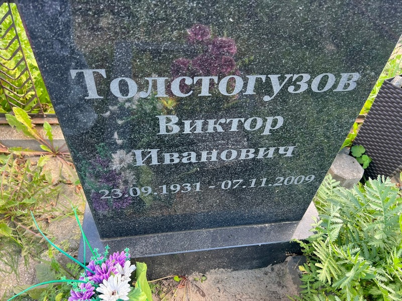 Толстогузов