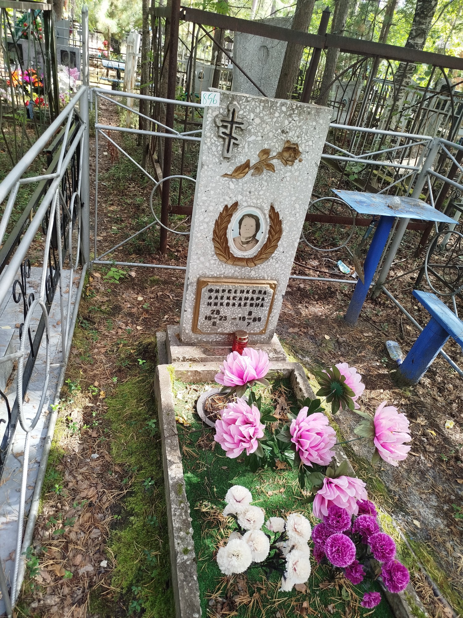 Фирсенкова Александра Николаевна