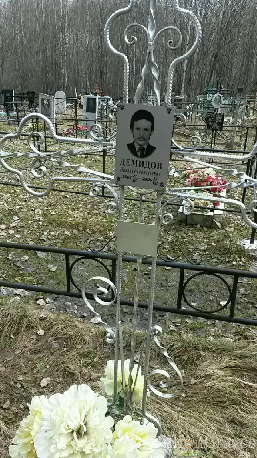 Демидов Николай Геннадьевич