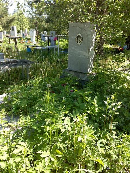 Петровских Анатольевна