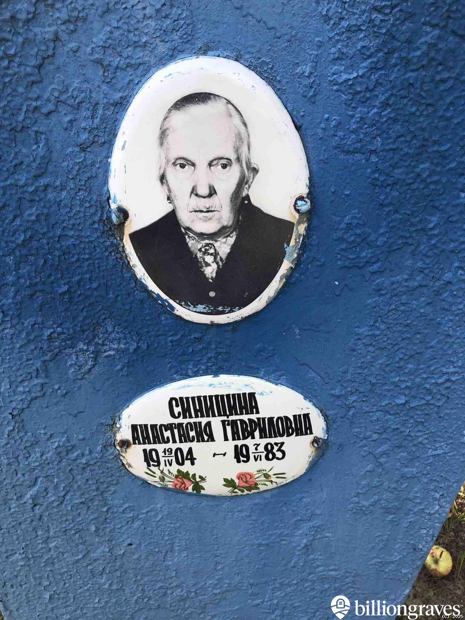 Синицина Анастасия Гавриловна