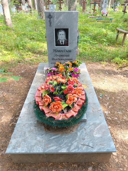 Новоселов Анатолий Владимирович