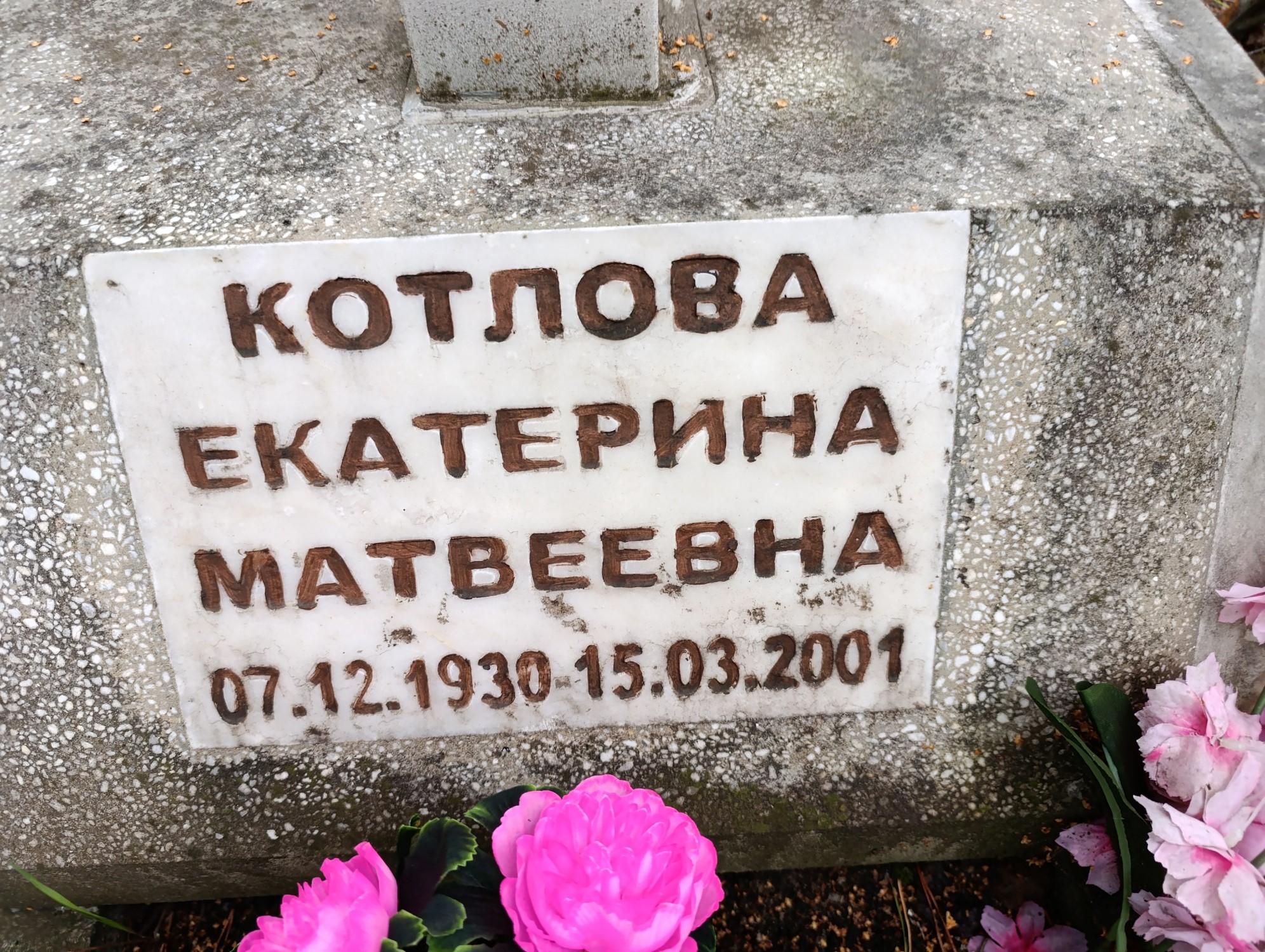 Котлова Екатерина Матвеевна