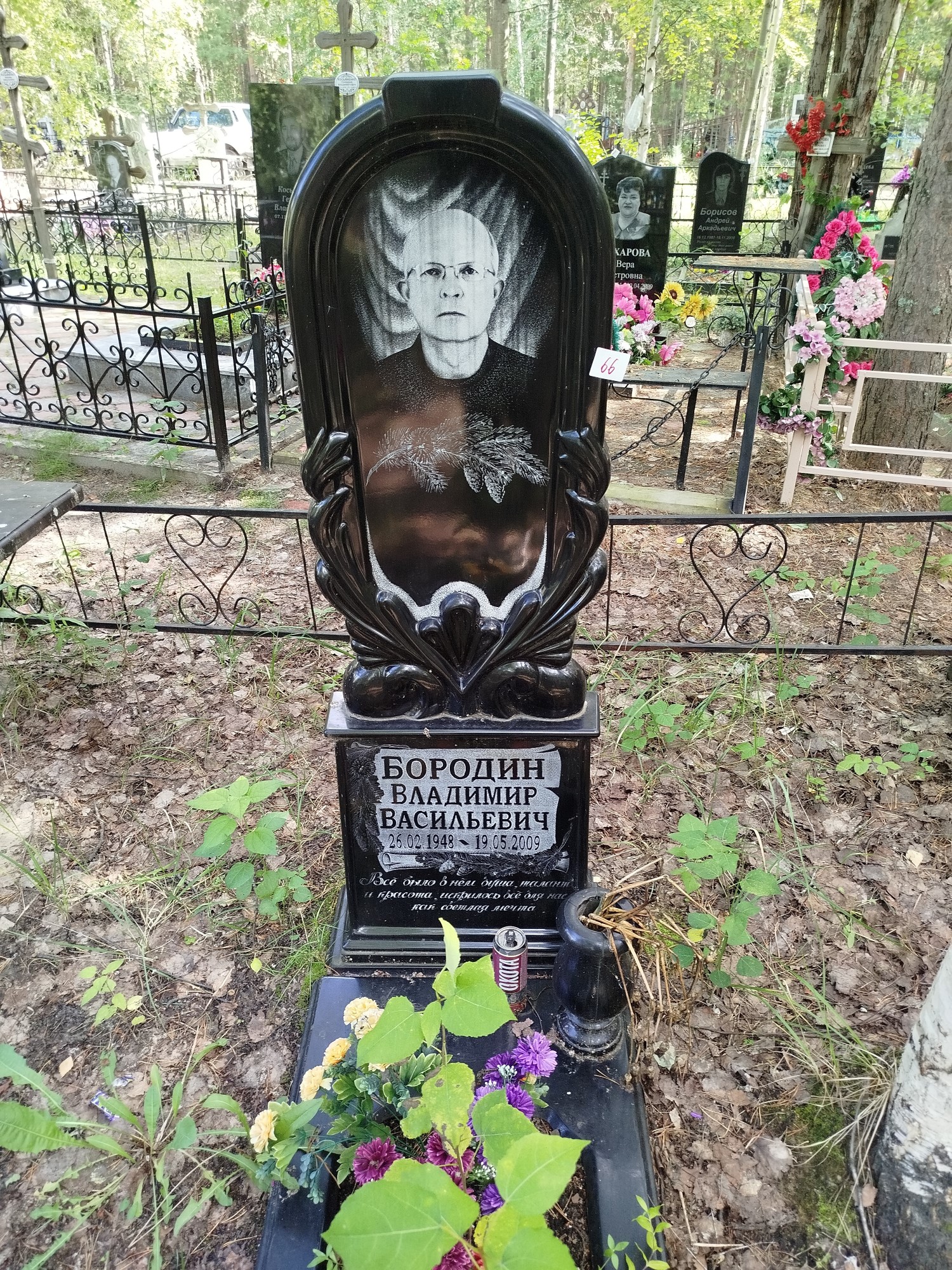Бородин Владимир Васильевич
