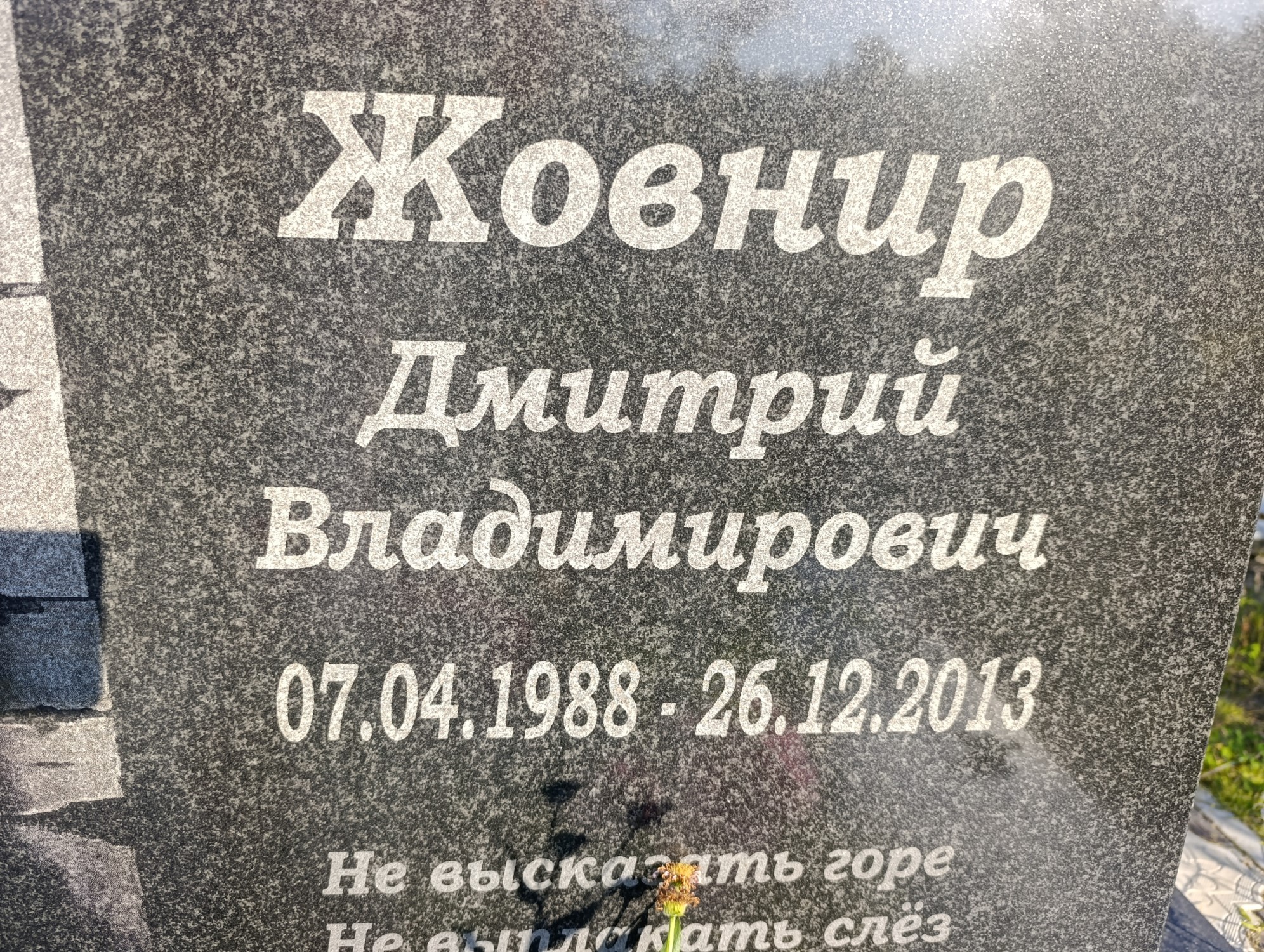 Жовнир Дмитрий Владимирович