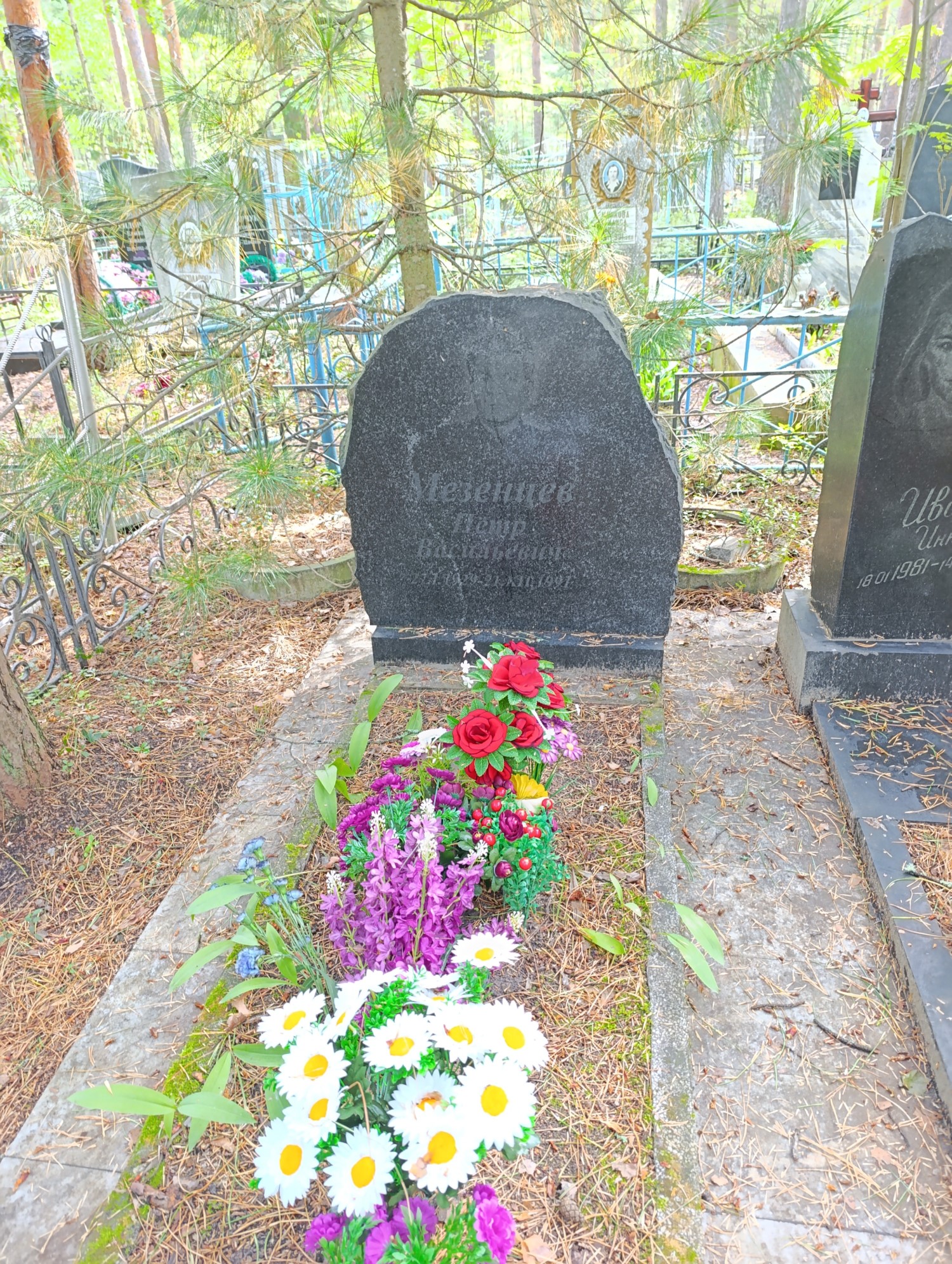 Мезенцев Пётр Васильевич