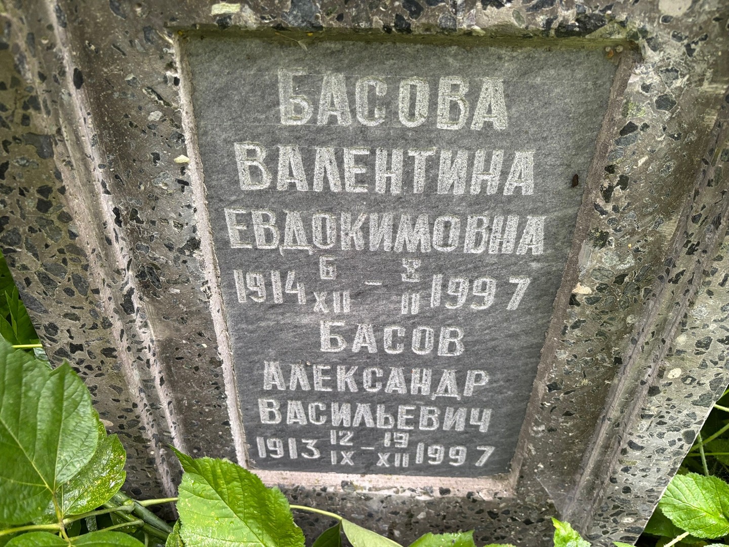 Басова