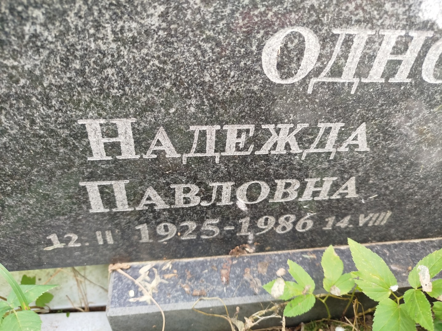 Одноколкина