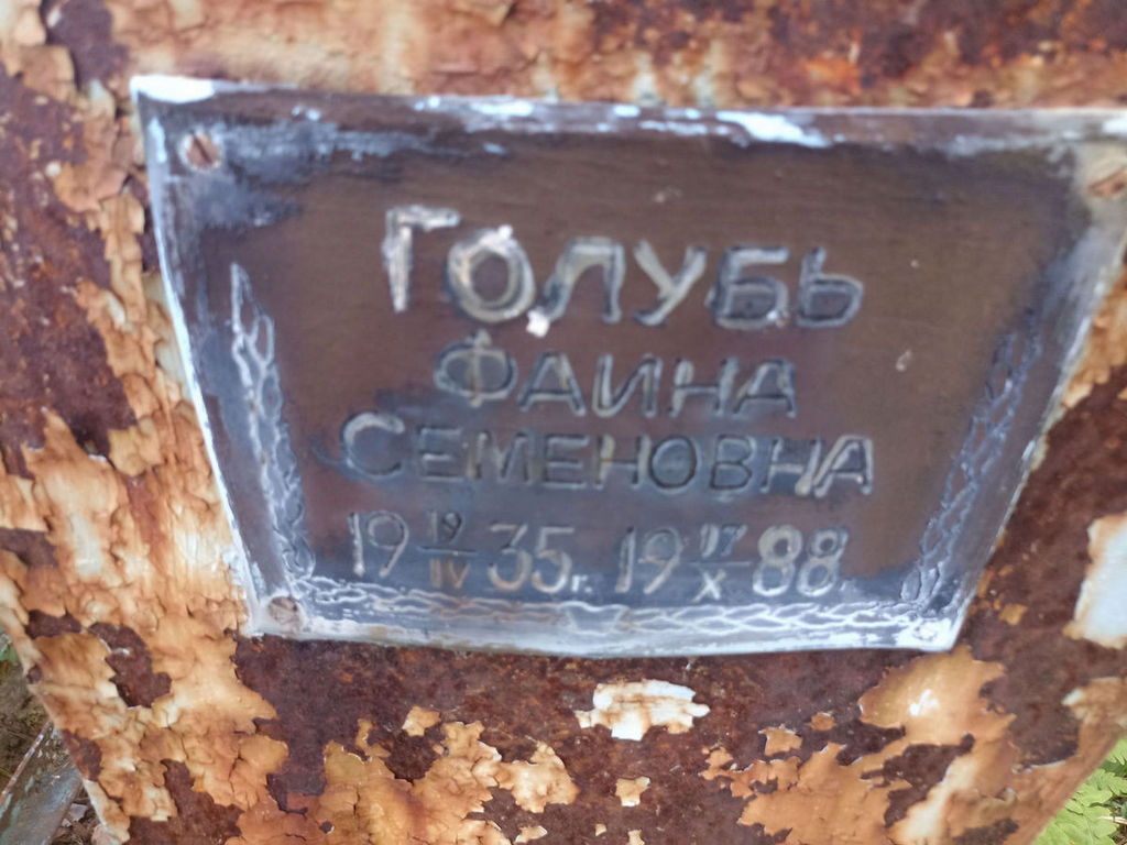 Голубь Фаина Семеновна