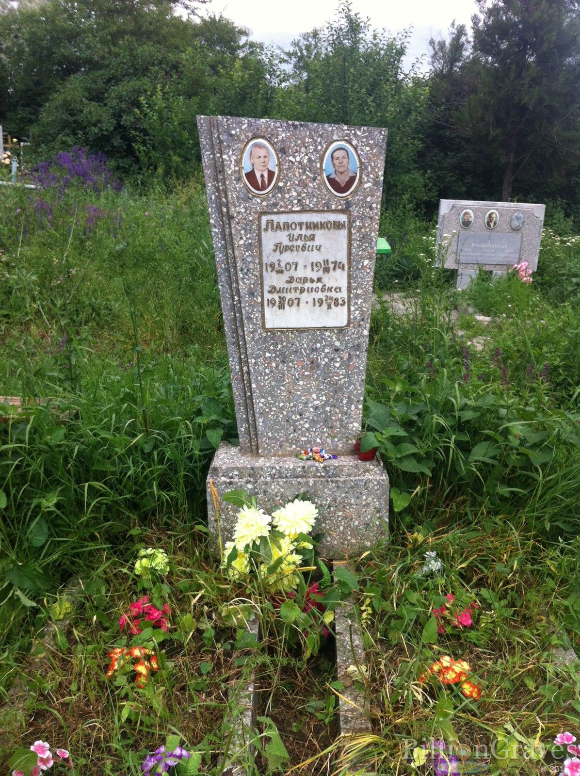 Лапотникова Дарья Дмитриевна