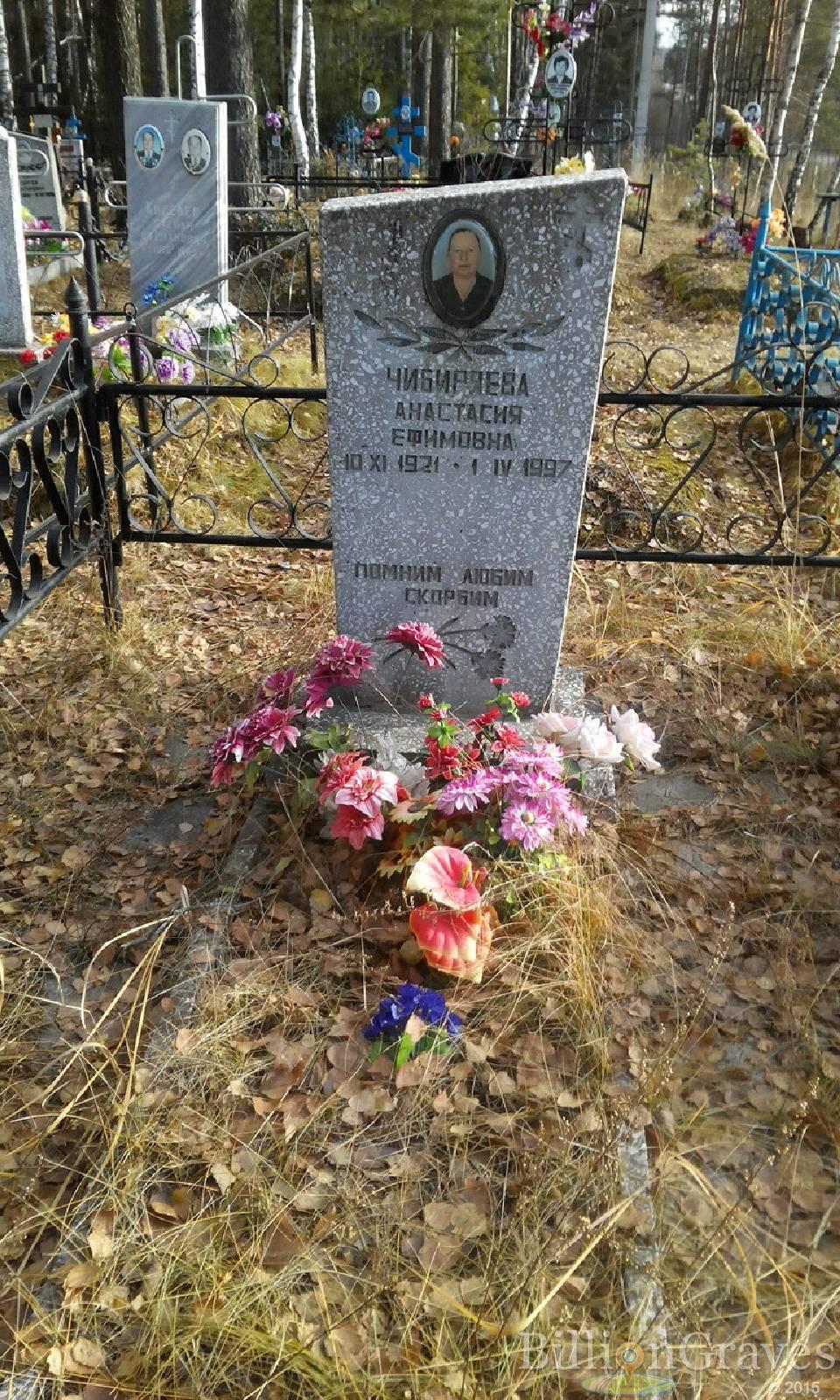 Чибиряева Анастасия Ефимовна