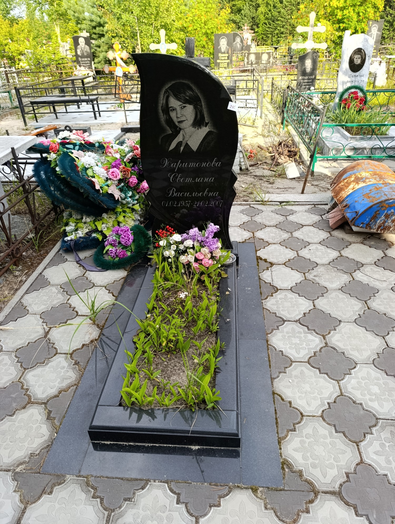 Харитонова Светлана Васильевна