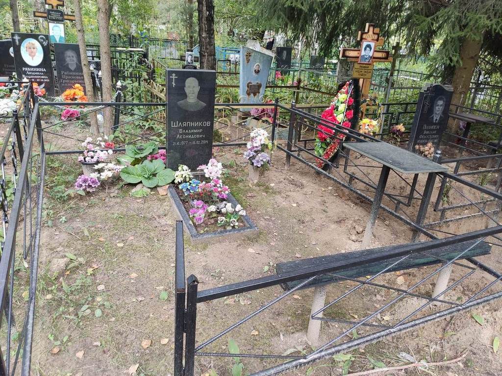 Шляпников Владимир Леонидович