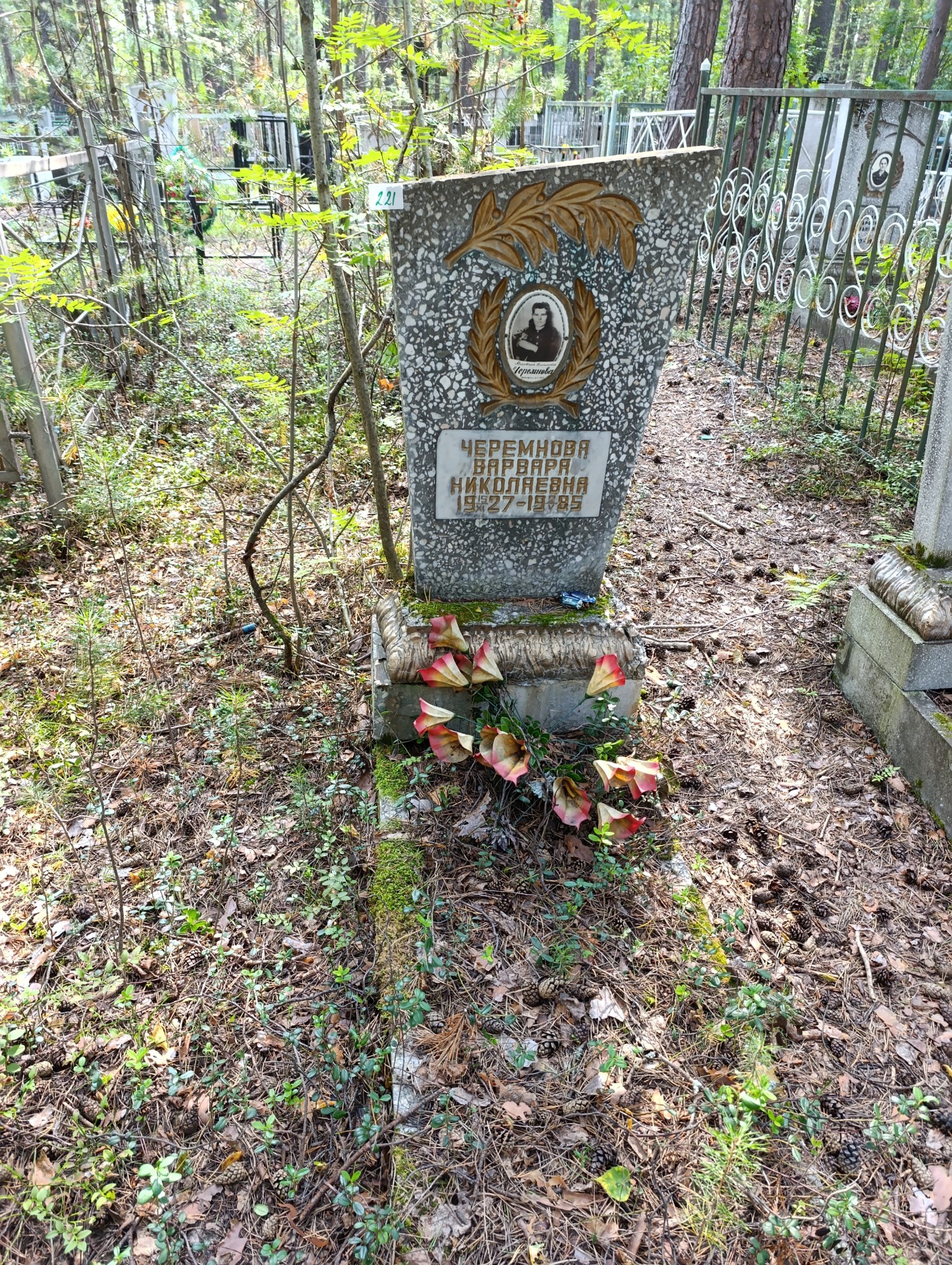 Черемнова Варвара Николаевна