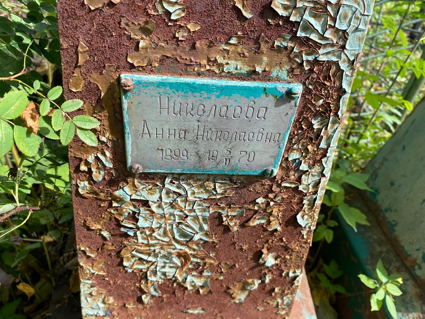 Николаева