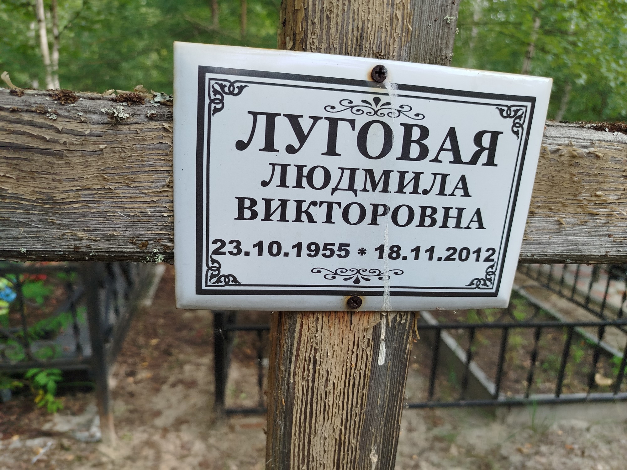 Луговая Людмила Викторовна