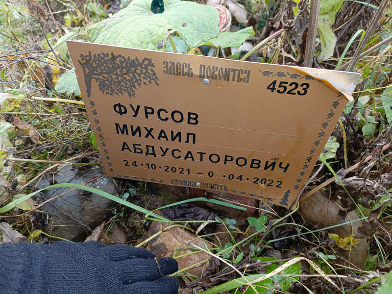Фурсов