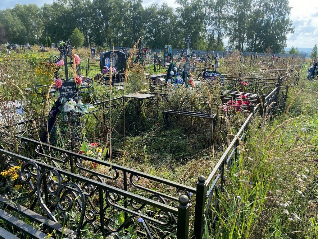 Левшина Нина Алексеевна