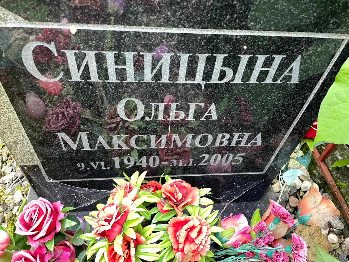 Синицына