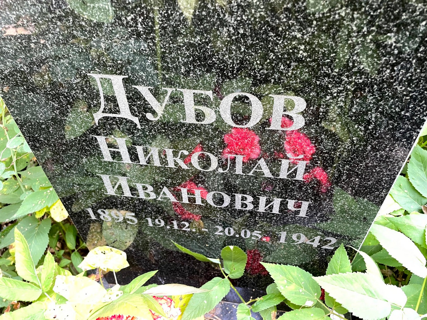 Дубов