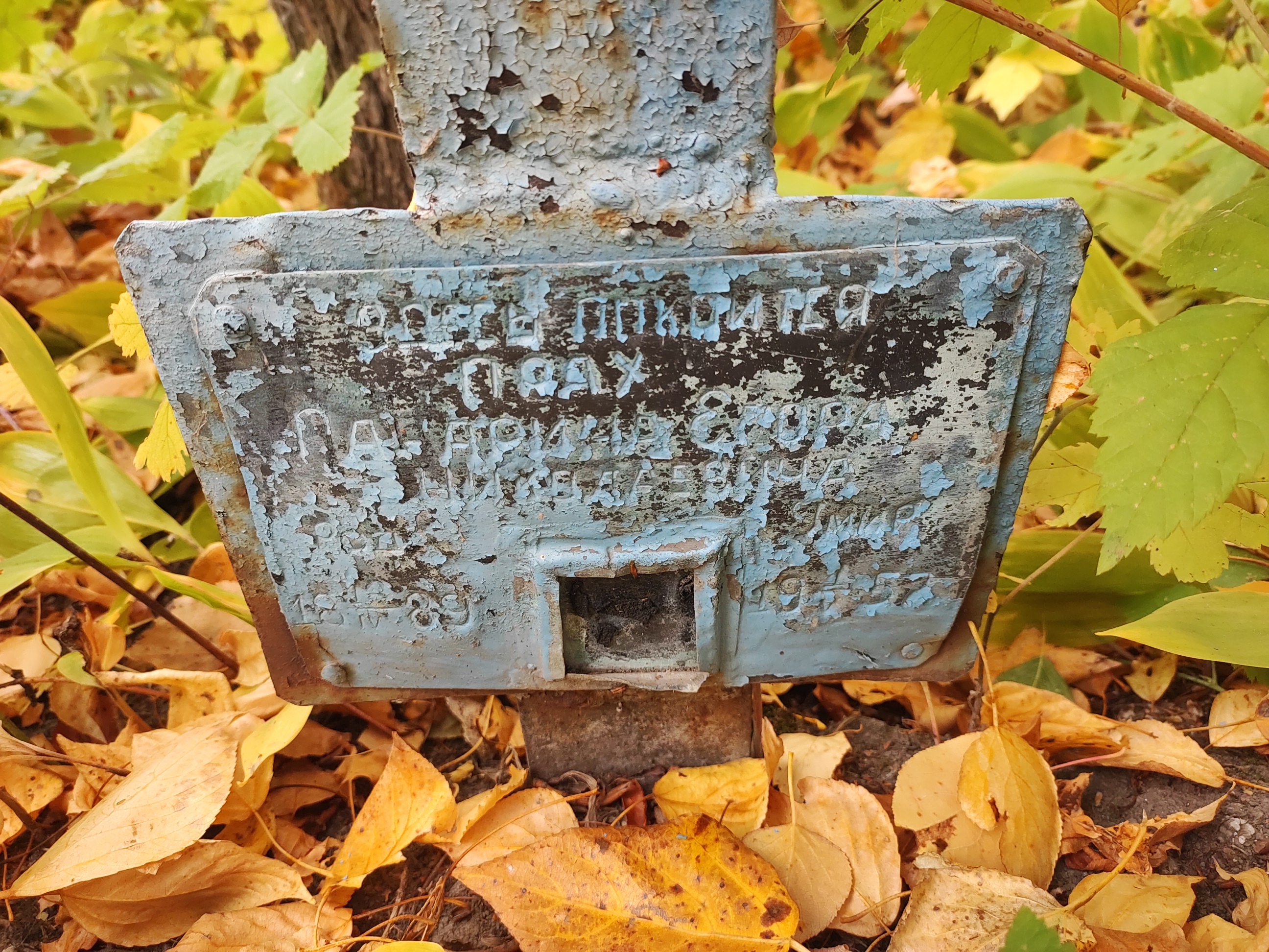 Панарин Егор Николаевич