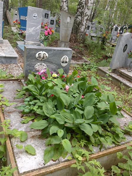 Алексеева Лидия Алексеевна