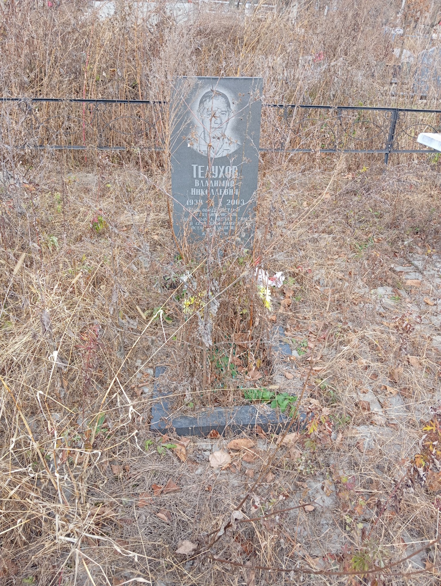 Телухов Владимир Николаевич