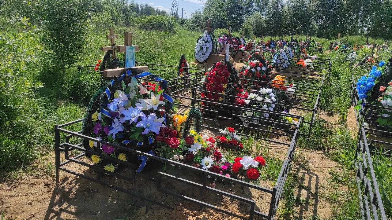 Васильев
