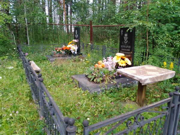 Комаров Николай Александрович