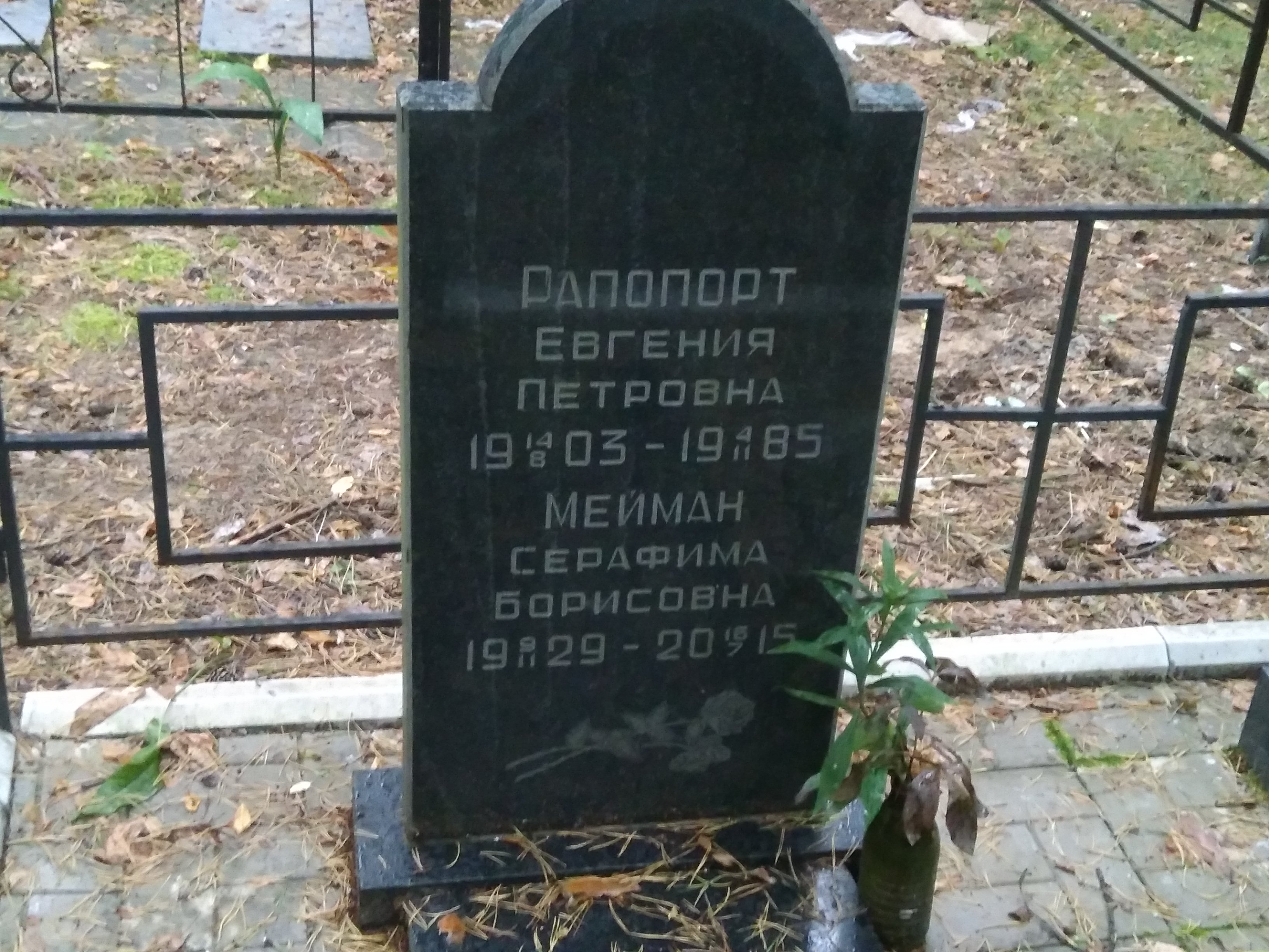 Мейман Серафима Борисовна