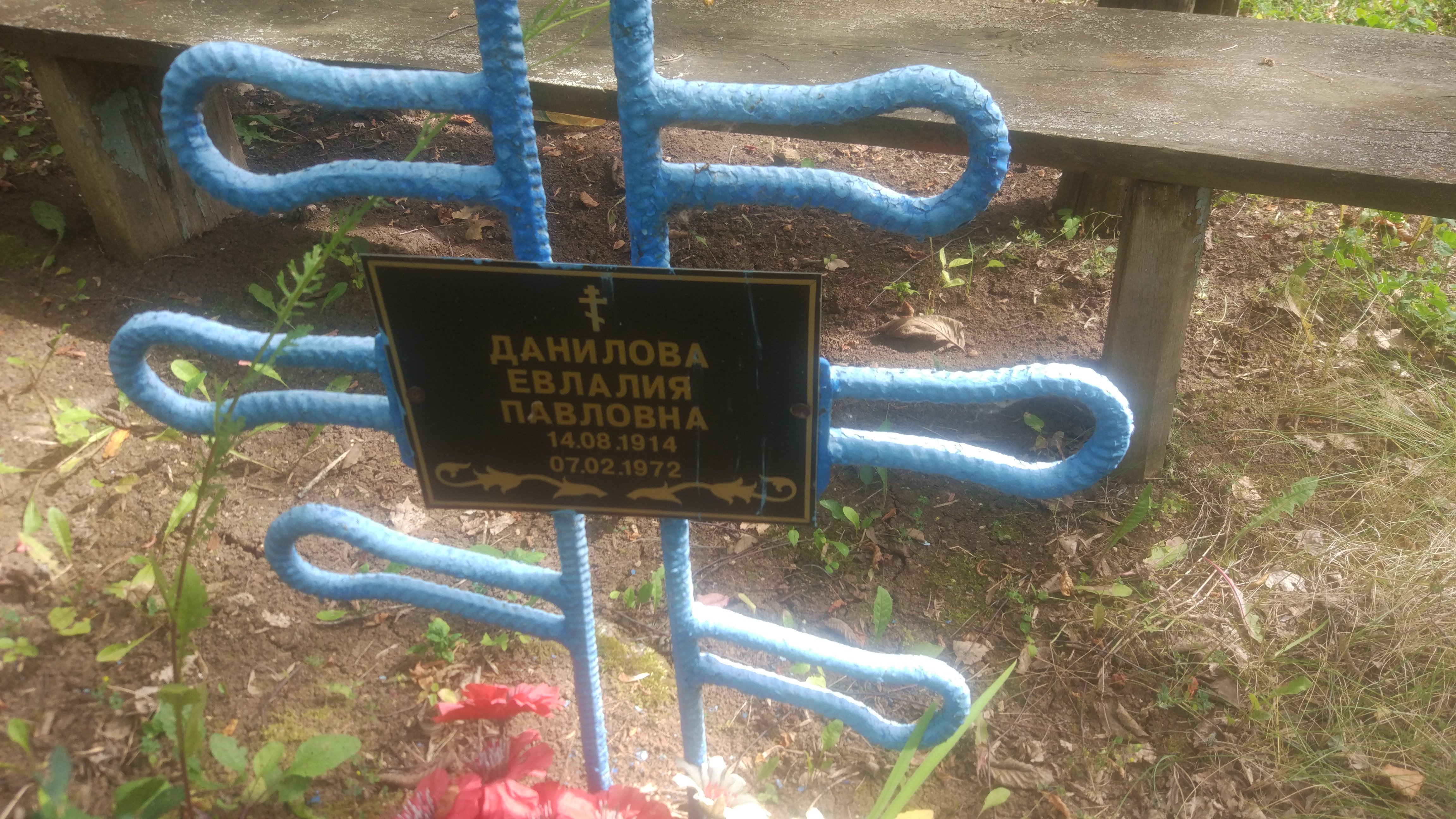 Данилова