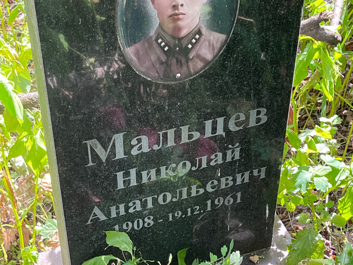 Мальцев