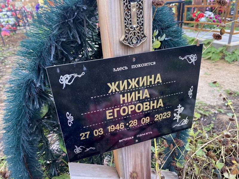 Жижина