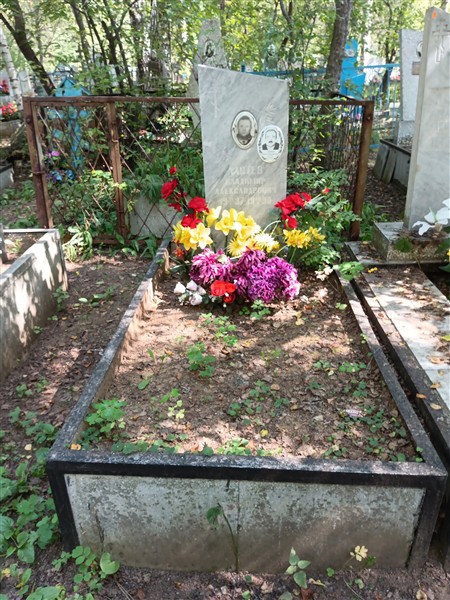 Лаптев Владимир Александрович