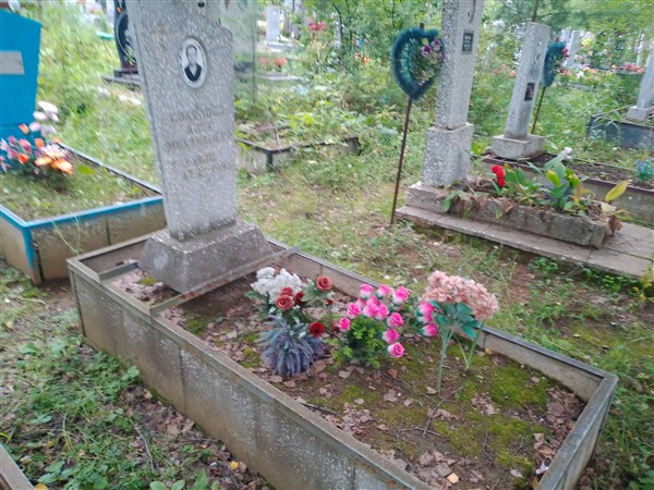 Соколова Анна Михайловна