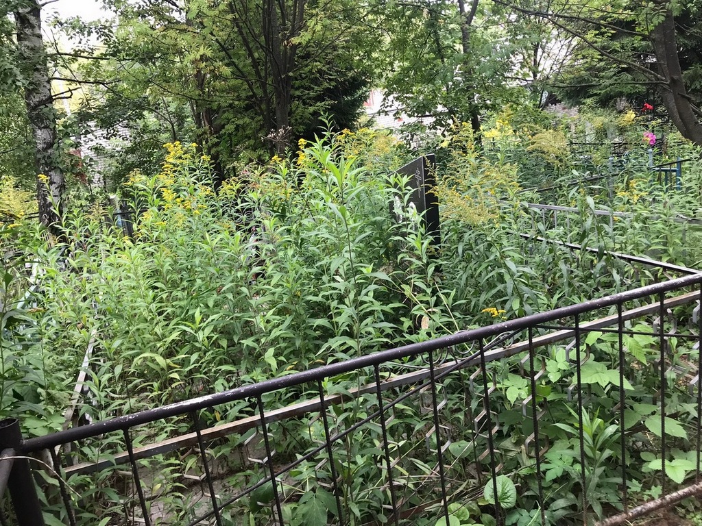 Ваганов Иван Иванович