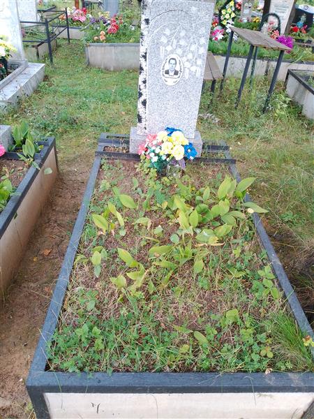 Зюзиков Николай Александрович