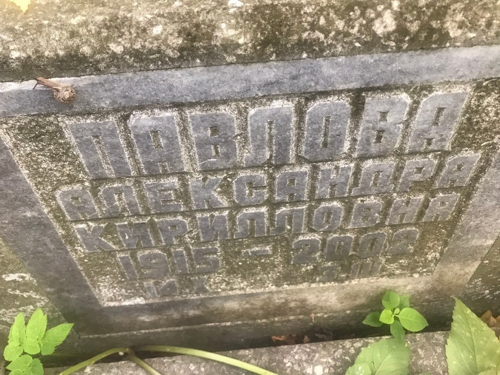 Павлова Александра Кирилловна