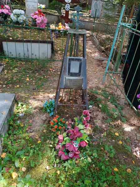 Гасникова Анна Михайловна