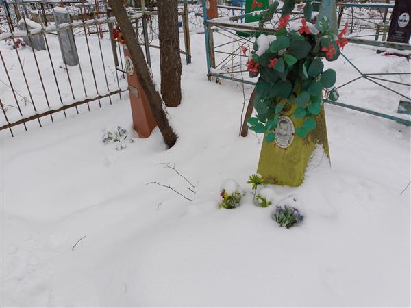 Воложденинов Денис Георгиевич