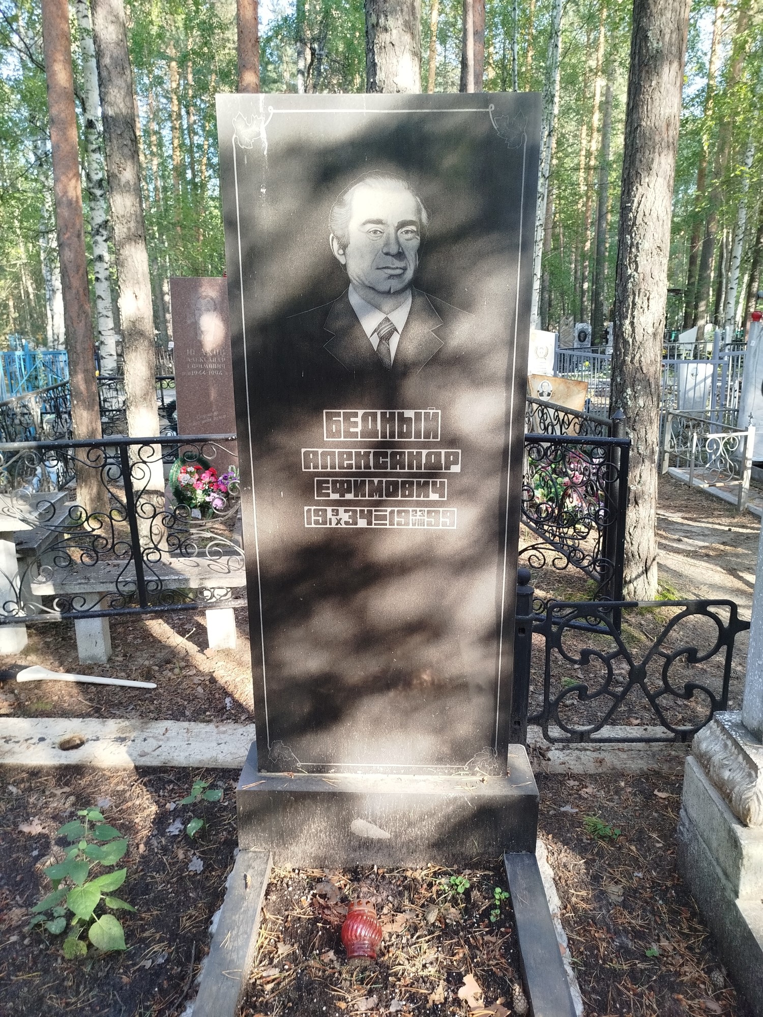 Бедный Александр Ефимович
