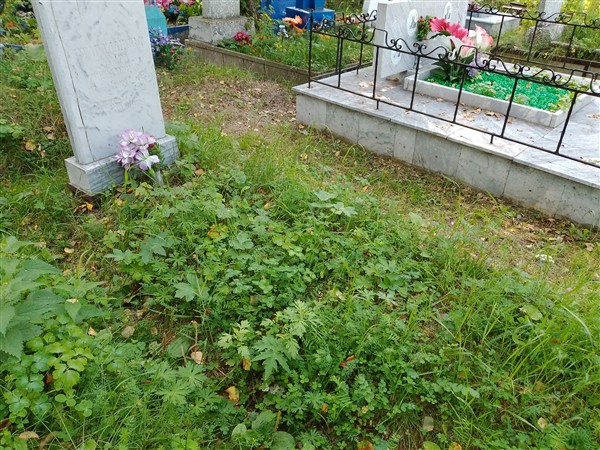 Стараданова Тамара Николаевна