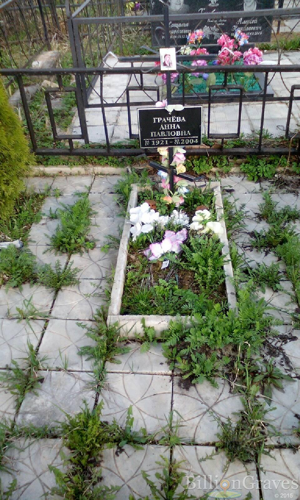 грачёва анна павловна