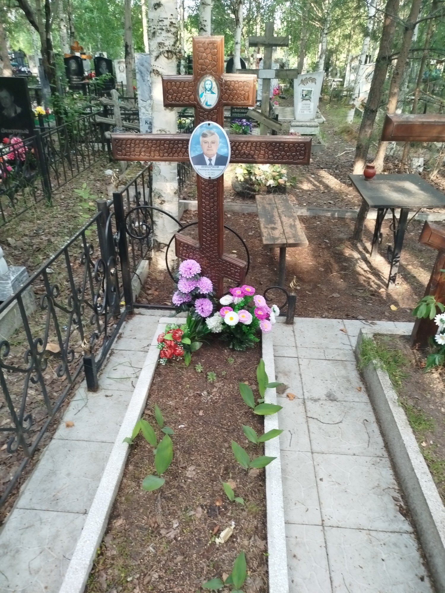 Швырков Дмитрий Иванович