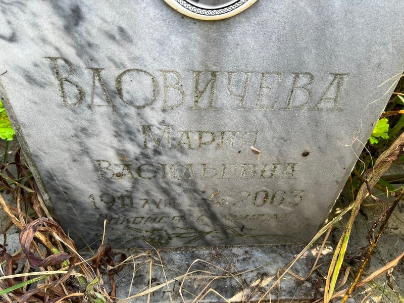 Вдовичева